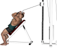 Triceps Push Down - Cable Incline